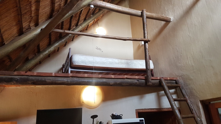 To Let 1 Bedroom Property for Rent in Mary Anne Free State